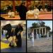 Aikido Antalya  Aikizen Dojo (tr) in Antalya Metropolitan Municipality city