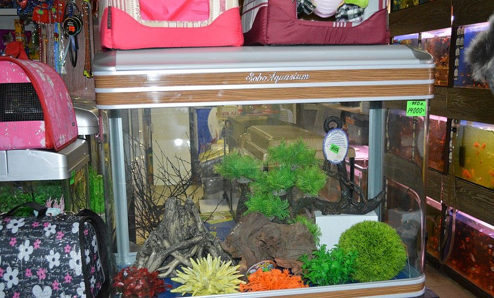 Aqua Zoo pet shop KamenskShakhtinsky