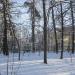 Снесенный детский сад № 33 «Лесовичок» в городе Красногорск