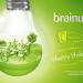 Brainue Strategic Visual in Jakarta city