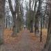 Park im. Tadeusza Kościuszki in Kraków city