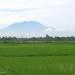 Komplek Sawah Tangah