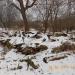 Дом Котова А.Д. в городе Псков