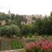 Generalife