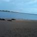 Colonia de Lobos Marinos en la ciudad de Necochea