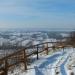 Rezerwat geologiczno-florystyczny Skarpa Dobrska