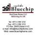 Bluechip Real Estate Brokers LLC (en) في ميدنة مدينة دبــيّ 