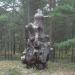 Dziwne drzewo (pl) in Hel city