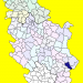 Municipality of Babushnica