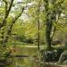 Teich (de) in Cologne city