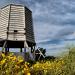 Torre di raffreddamento della sala compressori e centrale di trasformazione