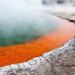 Бассейн с шампанским (Champagne Pool)