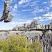 Tsingy de Bemaraha Strict Nature Reserve