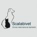 Scalabivet, Clínica veterinária de Santarém na Santarém city