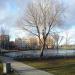Staw in Gdynia city