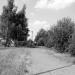 Park Suble (pl) in Tychy city