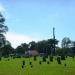 McLemoresville Cemetery