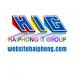 HAIPHONG IT GROUP (HIG) - Thiết kế web chuyên nghiệp (vi) in Hai Phong city