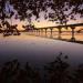 Natchez Trace Bridge