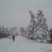 СООО «Раздельнянское» в городе Раздельная