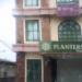 PlantersBank in Las Piñas city