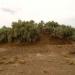 Nabkha park (the flower pots of the desert), Lut desert /