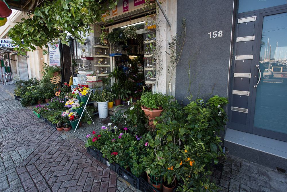 Central flower shop Gzira