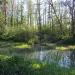 Bagno - Las na Utracie (pl) in Warsaw city