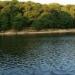 Roundhay Park