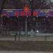 Цветочный киоск (ru) in Brovary city