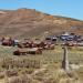 Bodie Cemetery