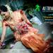 AUSTRIYA PHOTO