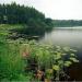 Valdaysky National Park