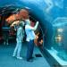 Dubai Aquarium & Underwater Zoo in Dubai city