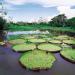 Amazônia National Park