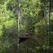 Amazônia National Park