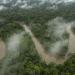 Parque Nacional da Amazônia