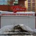 Цветочный киоск в городе Самара