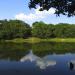 Zapadskyi Pond