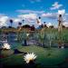 Delta râului Okavango