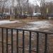 Специализированная площадка для выгула собак в городе Раменское
