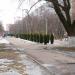 Бульвар Левашова в городе Раменское