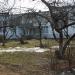 Яблоневые насаждения в городе Раменское