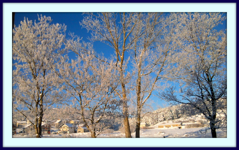 Opština Bosansko Grahovo