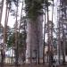 Водонапорная башня (ru) in Lebyazhye city