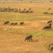 Garamba National Park