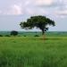 Garamba National Park