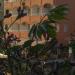 ANAMUR HOTEL SENAY in Anamur city