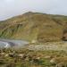 Macquarie Island