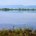 Tanguar Haor (wetland) Complex